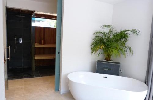 Noordwolde Apartment | Huize Triangel - Wellness studio met sauna