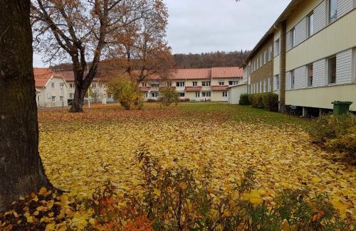 Huskvarna House | Huskvarna Hotell & Vandrarhem