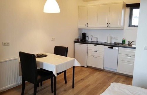 Vik I Myrdal Apartment | Hvammból Apartments