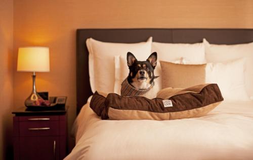 Pajaros Hotel | Hyatt Place Bayamon