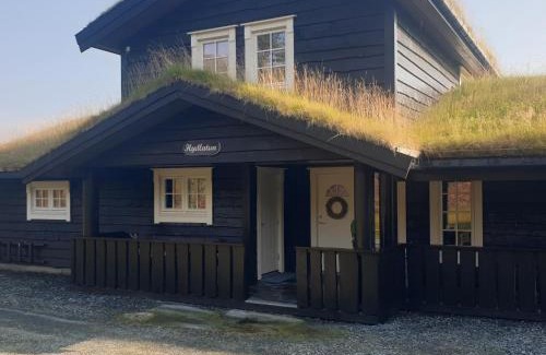 Stryn House | Hydlatun Panorama