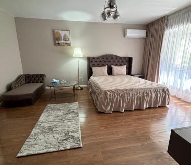 Braila Apartment | Iancu