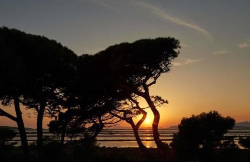 Hyeres City Centre Hotel | Ibis Budget Hyères
