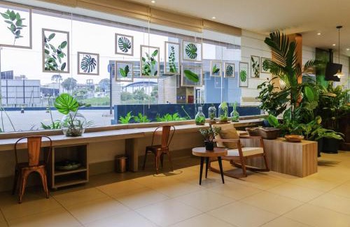 Aguas Belas Hotel | ibis Styles Curitiba Aeroporto