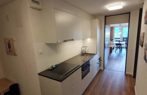 Acletta Apartment | Ideal für Gemütliche Ski-, Wander-, und Bergferien