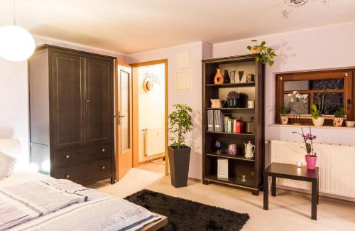 Pillnitz Apartment | Idyllische Ferienwohnung am Pillnitzer Schlosspark
