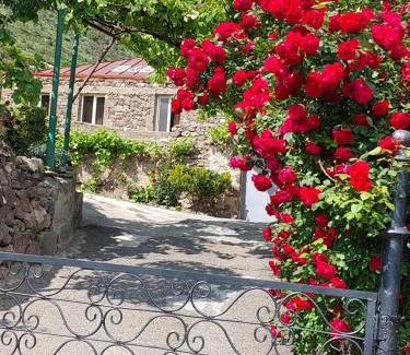 Halidzor House | Igor Bed and Breakfast