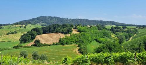 Casteggio House | Il Biancospino