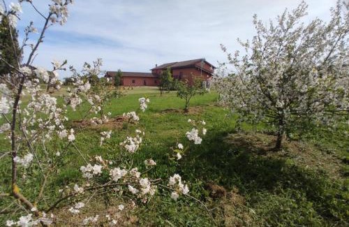 Aprilia Bed & Breakfast | Il Casale di Giulia di Aprilia