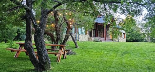 San Martin de los Andes Ski Chalet | Il Castello