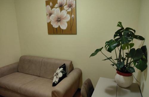 Pieve di Chio Apartment | Il Castellare