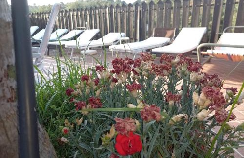 Raffo House | Il Castello