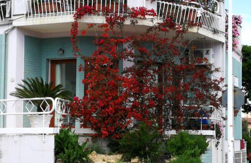 Villacidro Apartment | Il giardino all'angolo