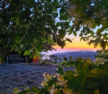 San Mauro Cilento Bed & Breakfast | Il Ligustro