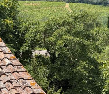 Castelnuovo Berardenga Apartment | Il Nido di Fede e Romy