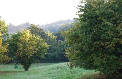Albareto Apartment | Il Paradiso monolocale Cottage
