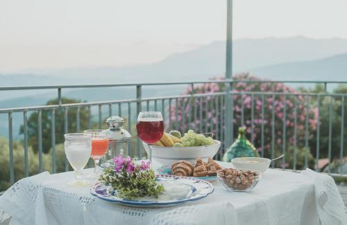Caselle in Pittari Bed & Breakfast | Il Perale