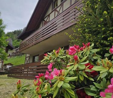 Ponte di Legno Apartment | Il Rododendro