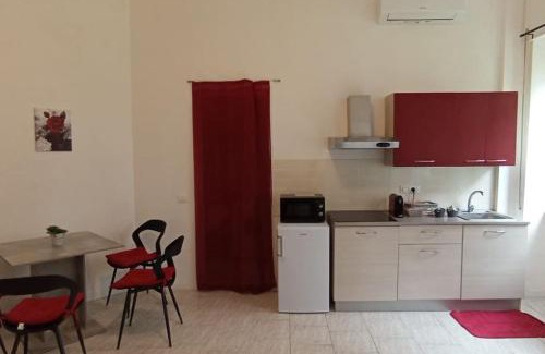 Cremona Apartment | Il roseto di Cremona, luminoso monolocale indipendente