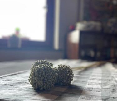 Cartosio House | Il Tesoro di MiRo