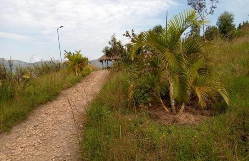Western Province Other | Imuhira Campsites&CBT