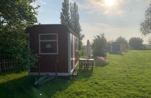 Watervliet Other | In de Wolf