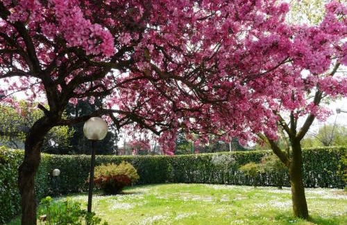 Cassina de' Pecchi Bed & Breakfast | In Giardino B&B