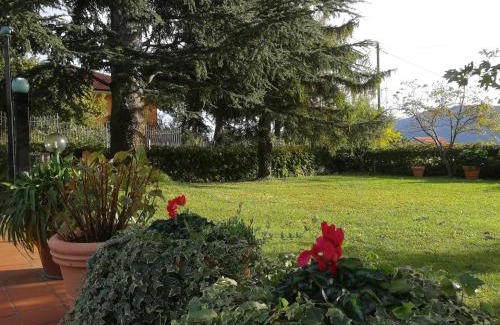 Cisano sul Neva House | Independent apartment with a fabulous patio - Casa Penny