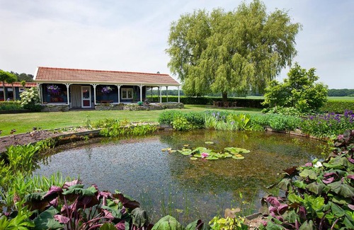 Bergen op Zoom House | Inge's Cottage