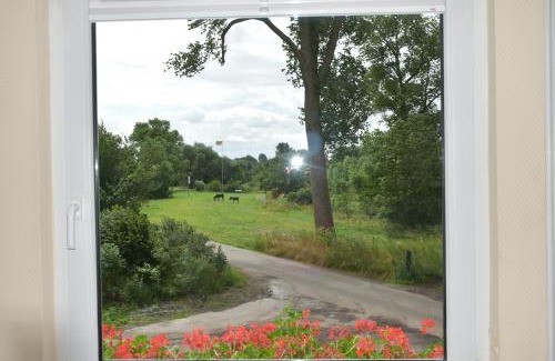 Schwanewede Apartment | Inselhof Steengrafe - Weserblick