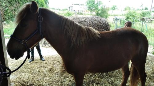 Rehaincourt Apartment | Insolite! Plusieurs Gîtes dans Ferme Equestre