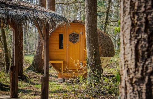 Epiniac Bed & Breakfast | Insolites, Les Ormes, Epiniac