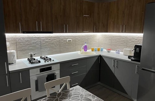Suceava County House | Ipotexas House