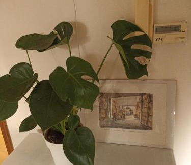 Candelo Apartment | Isangarda Apartment