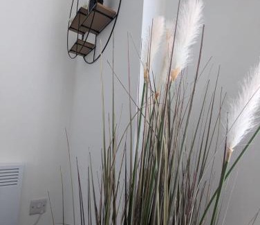 Barwell Apartment | Island House