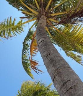 Himmafushi House | Island life Home Stay