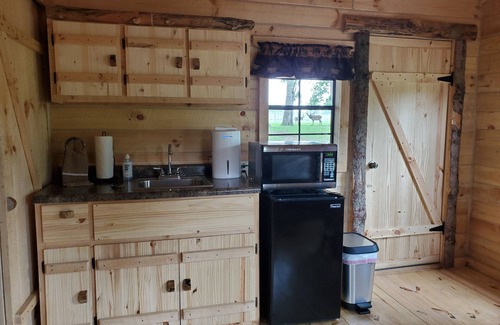 Leroy Cabin | It's the Wright Farm