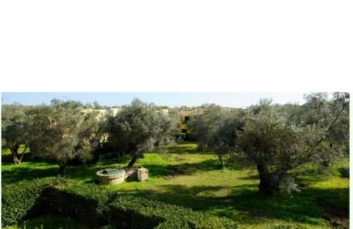 Sant'Andrea Apostolo dello Ionio Apartment | Tra Ulivi E Mare