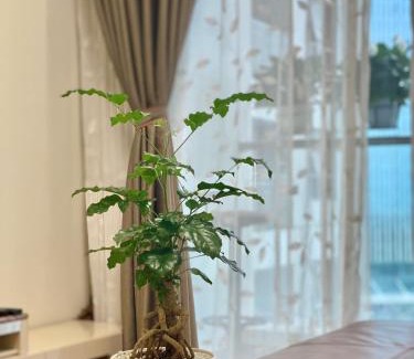 Hon Gai Apartment | Ivy Apartment - A cozy 2-bedroom apartment perfect for Ha Long Getaway