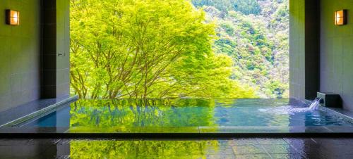 Miyoshi Hotel | Iya Onsen