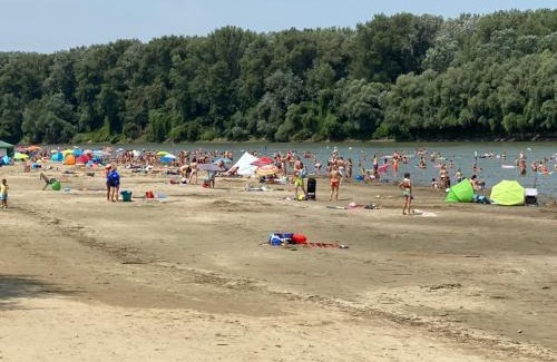 Csongrad House | Jókai 10 Vendégház Présház Csongrád