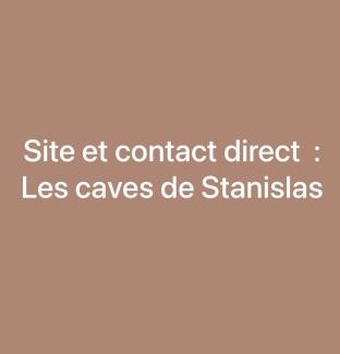 Saint Nicolas - Charles III - Ville vieille - Trois Maisons - Leopold Apartment | jaccuzi & spa des caves Stanislas