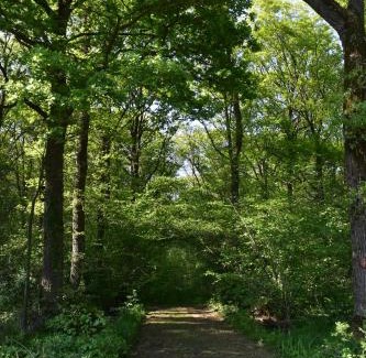 Comines-Warneton House | Jachthuis Au Bois Du Gheer