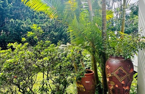 Da Lat Cabin | Jakaranda Villa Da Lat