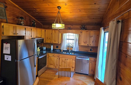 Blue Ridge Cabin | -Jan 2025 Remodel- Enjoy the Cool Mountain Air, Sling, WiFi, Fire Pit, Doggie