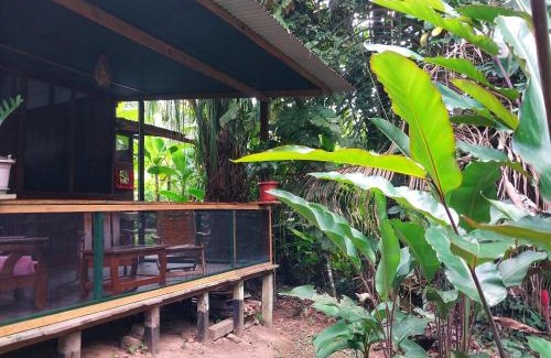 Puerto Maldonado Apartment | JARDIN DE LAS MUSAS
