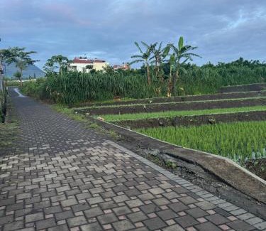 Oro Oro Ombo Apartment | Jawa Batu Villa