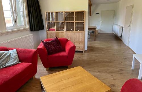 Hostka Apartment | Jelen
