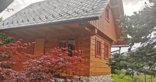 Olsany House | Jesenická Chalupa