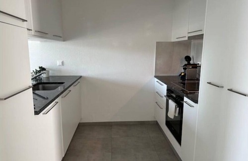 Lausanne Apartment | Joli Espace Avec vue sur le lac